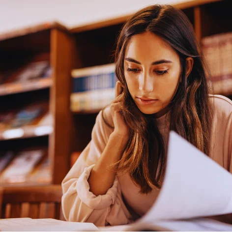 PhD Programs In UAE
